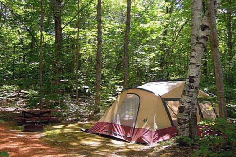 Tent sites in the White Mountains