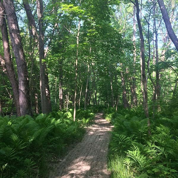 RiverwalkTrail