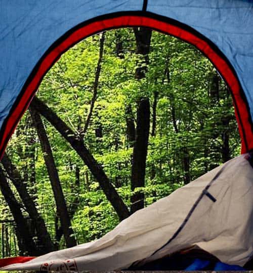 Tent sites at Timberland