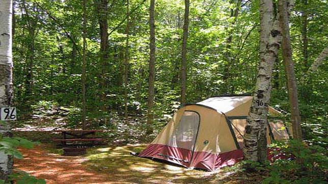 Tent sites at Timberland Campground