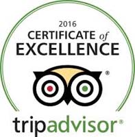 Trip Advisor Reviews